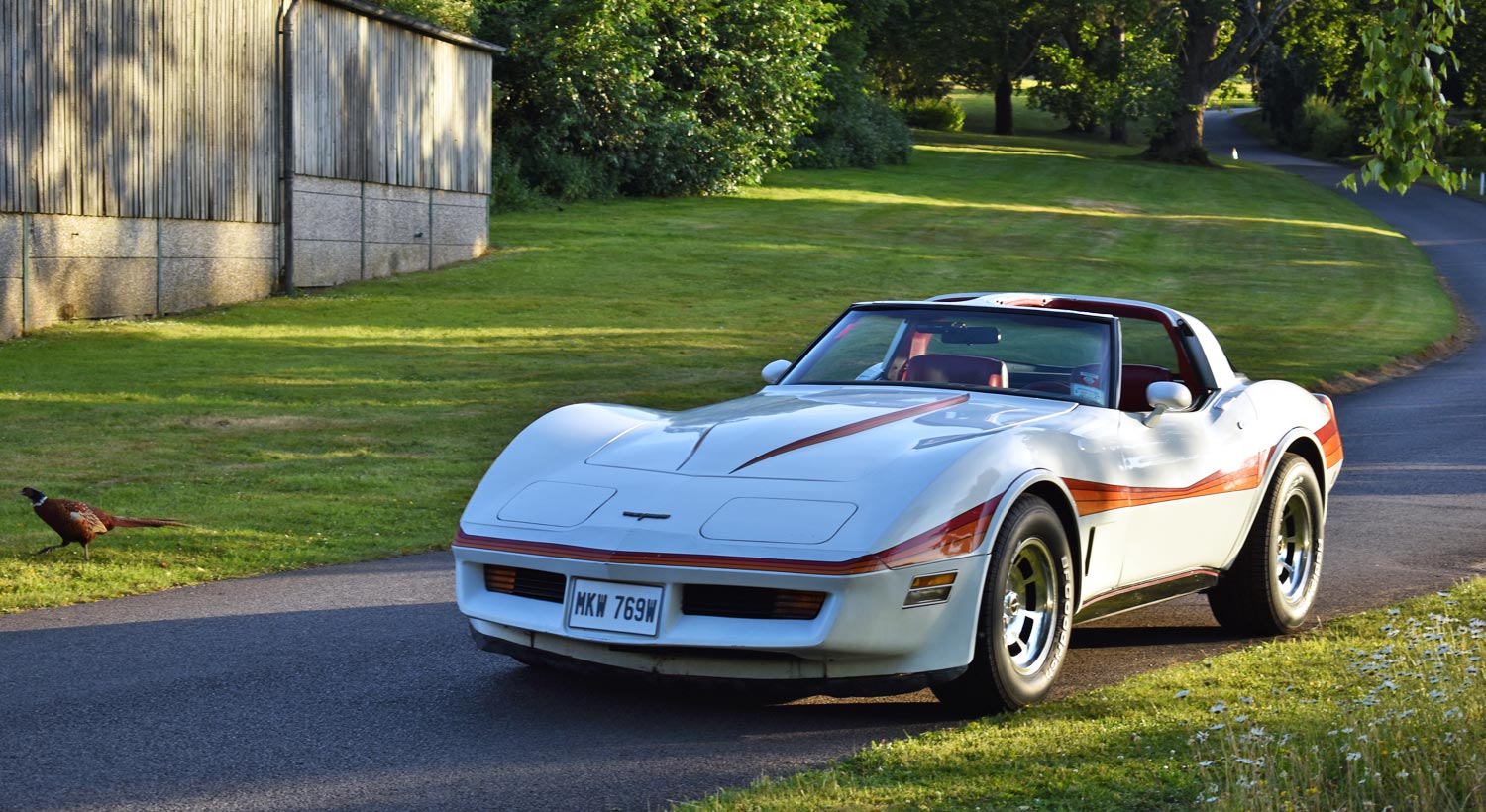 1981 Corvette for hire